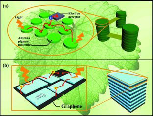 71.Granum\Like Stacking Structures with TiO2CGraphene Nanosheets for Improving Photo\electric Conversion