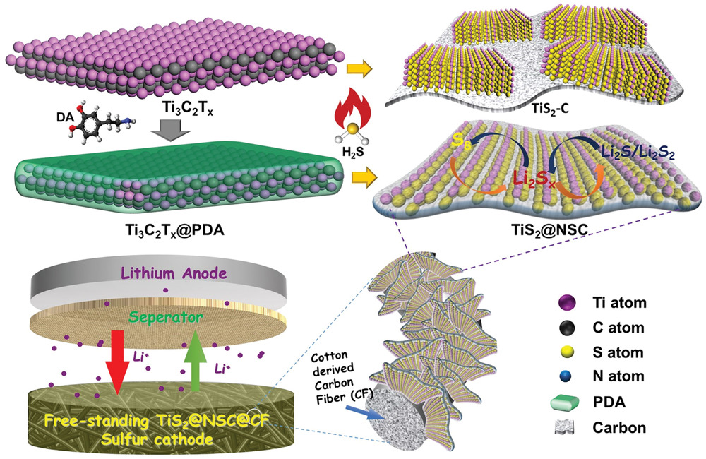 144.Sandwich\Like Ultrathin TiS2 Nanosheets Confined within N, S Codoped Porous Carbon as an Effective Polysulfide Promoter in Lithium\Sulfur Batteries