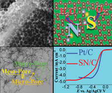 100.A self-sponsored doping approach for controllable synthesis of S and N co-doped trimodal-porous structured graphitic carbon electrocatalysts