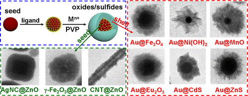 85.Investigating the Multiple Roles of Polyvinylpyrrolidone for a General Methodology of Oxide Encapsulation