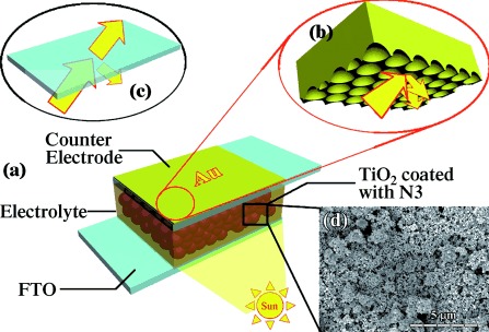 72.Enhanced Light Harvesting in Plasmonic Dye\Sensitized Solar Cells by Using a Topologically Ordered Gold Light\Trapping Layer