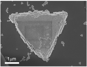 64.Superstructures and SERS Properties of Gold Nanocrystals with Different Shapes