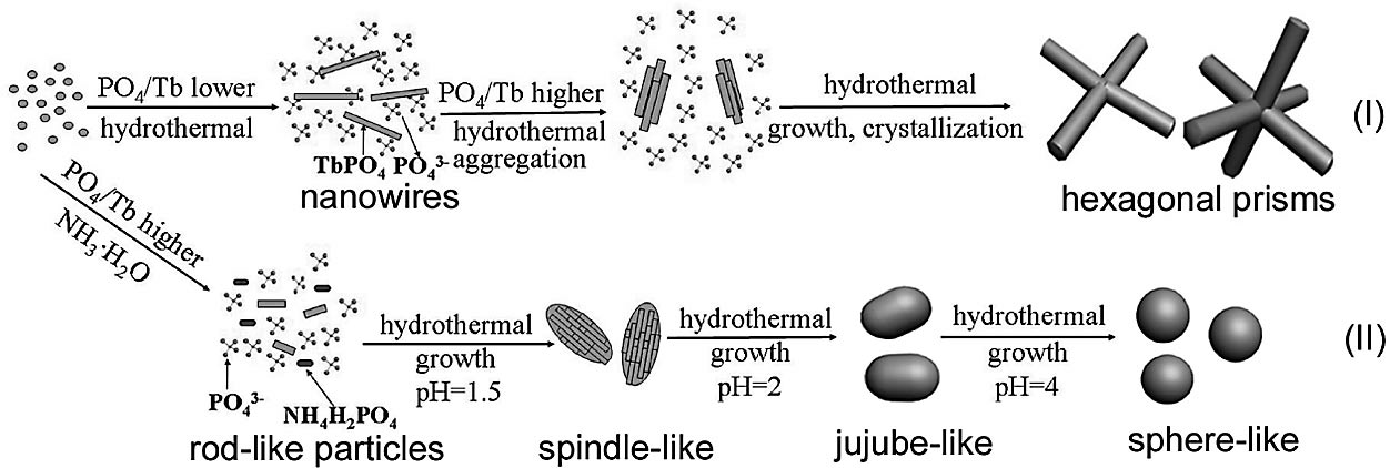 52.Controlled Synthesis of Terbium Orthophosphate Spindle-Like Hierarchical Nanostructures with Improved Photoluminescence