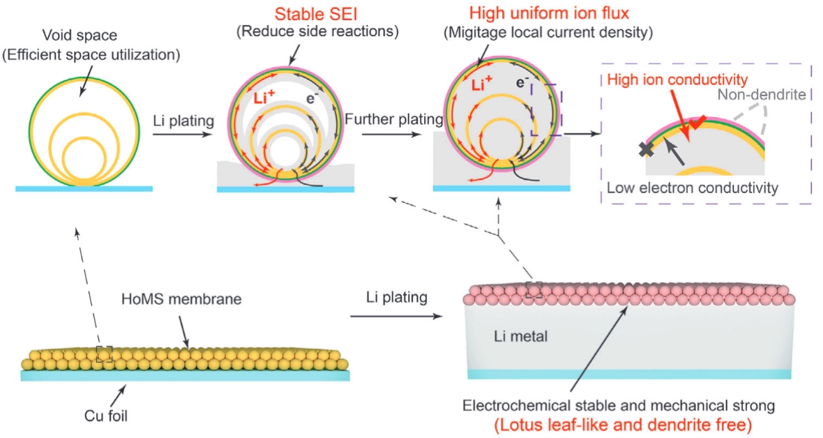 230. Relocatable Hollow Multishelled Structure-Based Membrane Enables Dendrite-Free Lithium Deposition for Ultrastable Lithium Metal Batteries